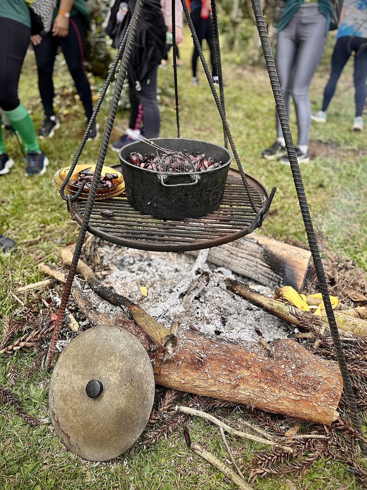 Fogueira Tradicional