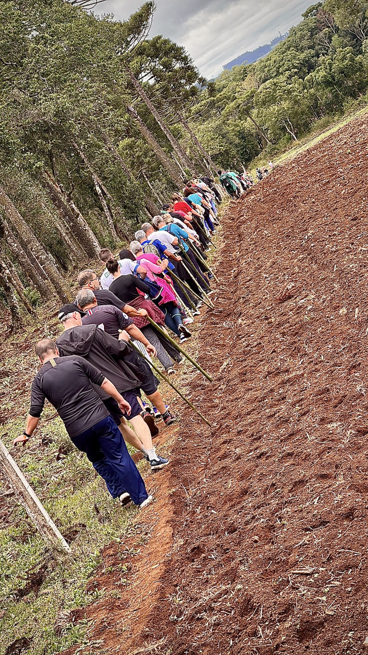 Trabalho Comunitário