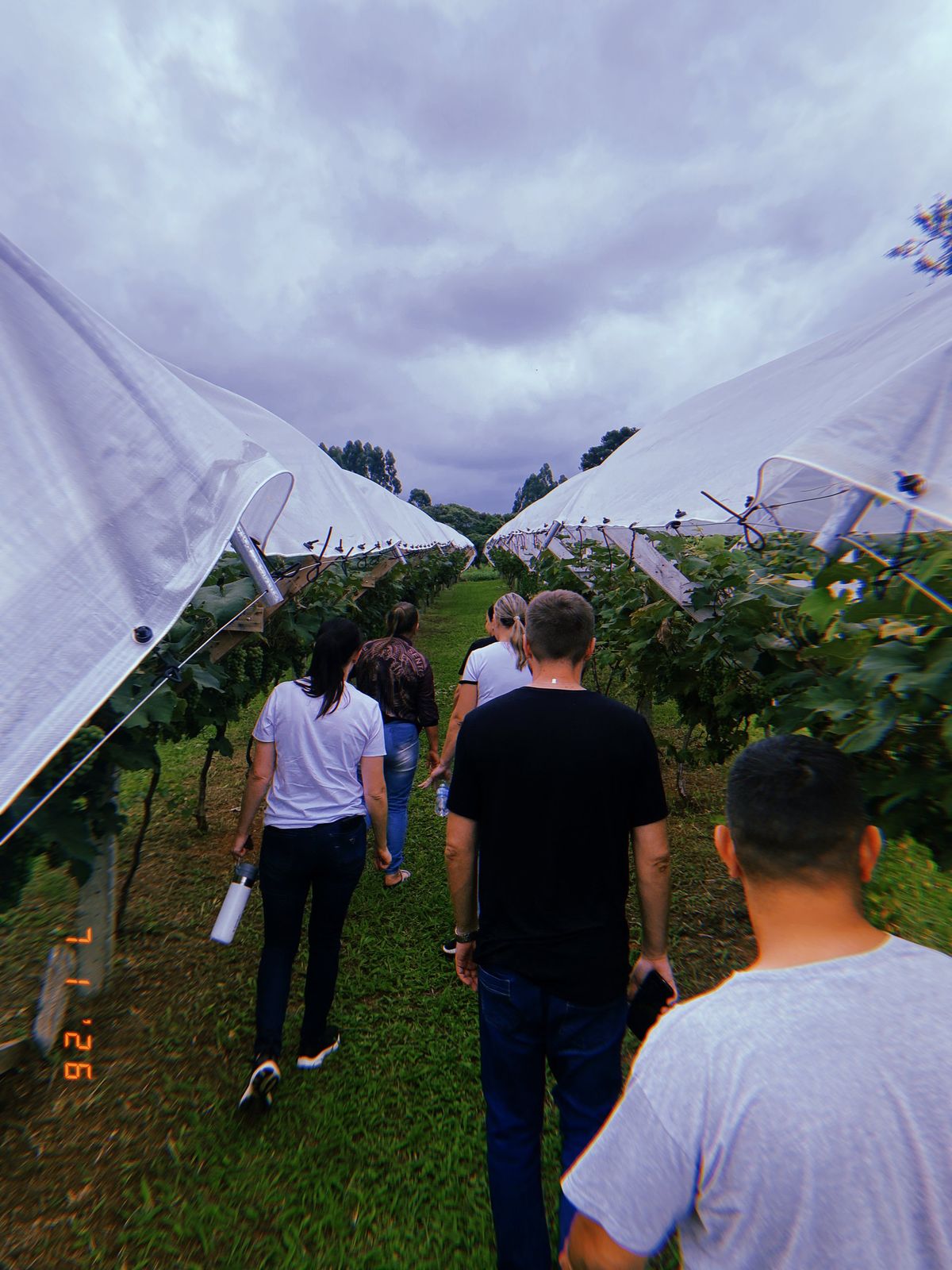 Produção artesanal de queijos coloniais na zona rural de São Mateus do Sul